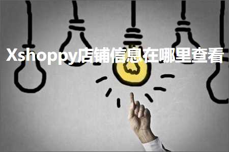 跨境电商知识:Xshoppy店铺信息在哪里查看