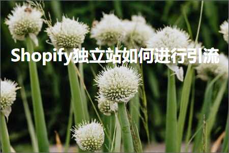 跨境电商知识:Shopify独立站如何进行引流