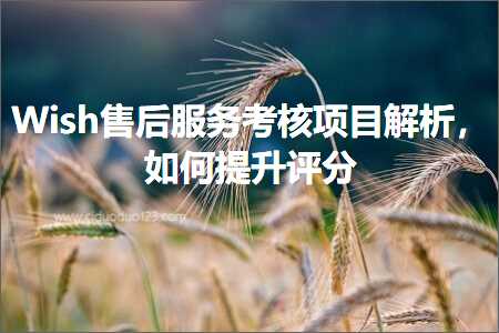 跨境电商知识:Wish售后服务考核项目解析，如何提升评分