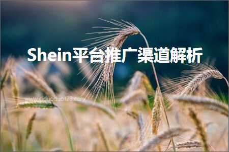 璺ㄥ鐢靛晢鐭ヨ瘑:Shein骞冲彴鎺ㄥ箍娓犻亾瑙ｆ瀽